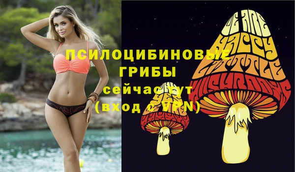 стаф Балабаново