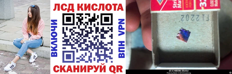 Наркотические марки 1,8мг Лесной