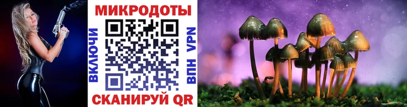Псилоцибиновые грибы мицелий  Лесной 